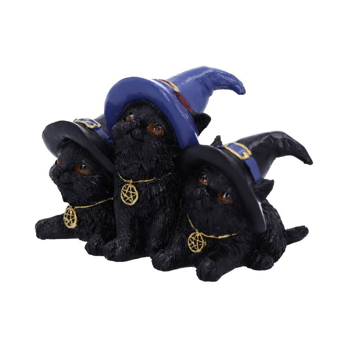 Nemesis Now Cat Figurine Familiar Felines Black Cats in Witches Hats Figurine U5528T1