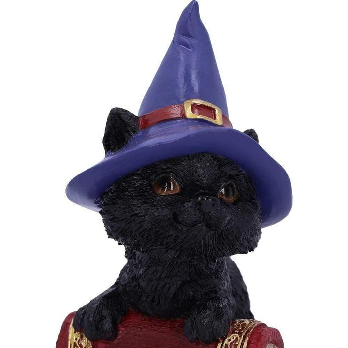 Nemesis Now Cat Figurine Hocus Small Witches Familiar Black Cat and Spellbook Figurine U5231S0