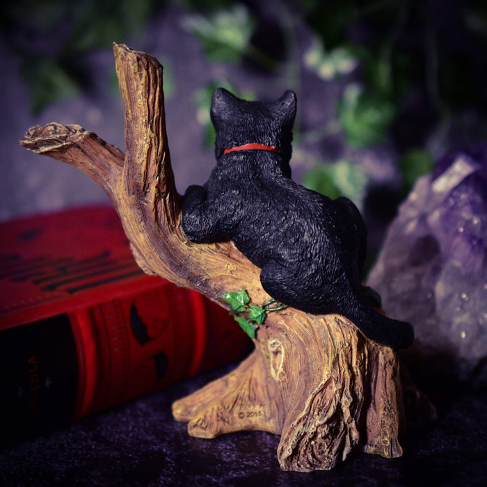 Nemesis Now Cat Figurine Onyx Witches Cat Figurine Sitting In A Tree B1806E5