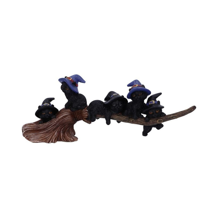 Nemesis Now Cat Figurine Purrfect Broomstick Witches Familiar Black Cats and Broomstick Figurine U5485T1