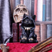 Nemesis Now Cat Figurine Reapers Feline Cloaked Grim Reaper Cat Figurine U4930R0