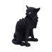 Nemesis Now Cat Figurine Salem Small Black Cat Witches Familiar Figurine D5526T1