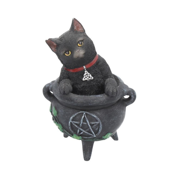 Nemesis Now Cat Figurine Smudge Witches Cat Figurine In A Cauldron B1811E5