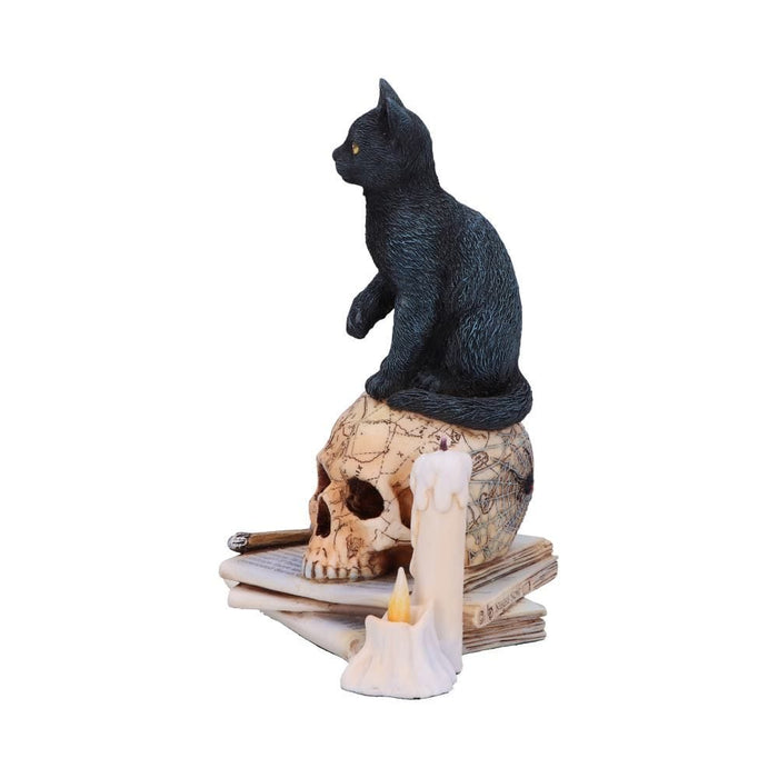 Nemesis Now Cat Figurine Spirits of Salem Officially Licensed Lisa Parker Figurine B5314S0