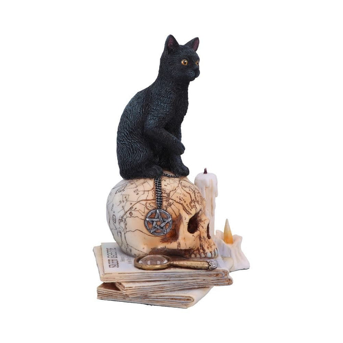 Nemesis Now Cat Figurine Spirits of Salem Officially Licensed Lisa Parker Figurine B5314S0