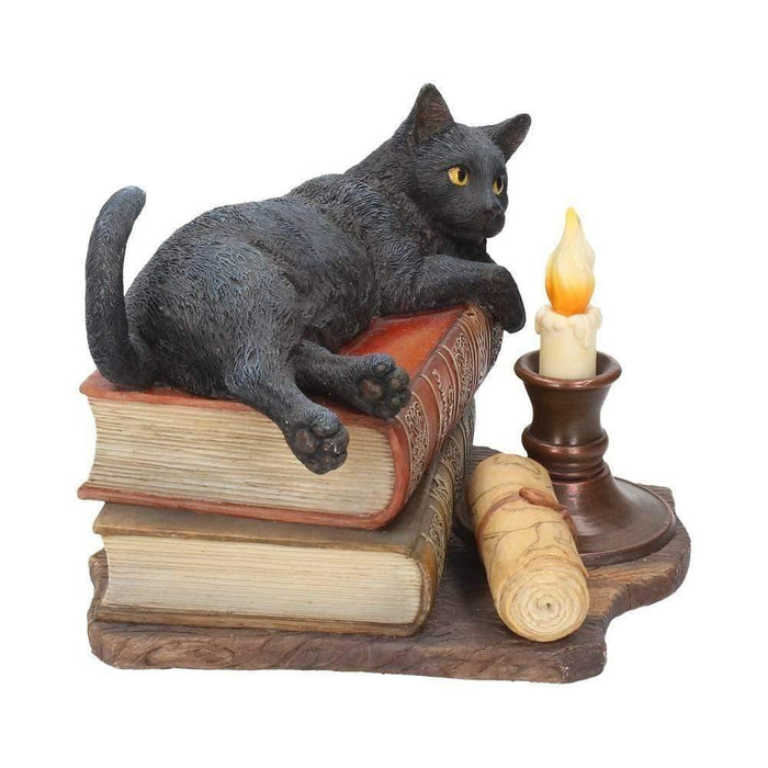 Nemesis Now Cat Figurine The Witching Hour Lisa Parker Witches Cat Figurine B2801G6