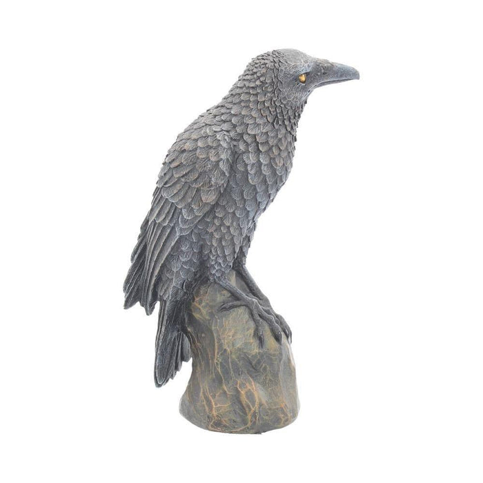 Nemesis Now Crow Figurine Ravens Rest Figurine Gothic Bird Ornament NEM2775