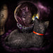 Nemesis Now Crystal Ball Cosmo Witches Cat Crystal Ball and Stand B1809E5 + NOW7100