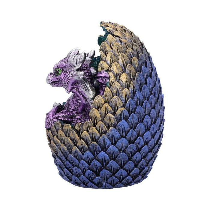 Nemesis Now Dragon Figurine Geode Home Purple Glittering Hatchling and Egg Figurine U5001R0