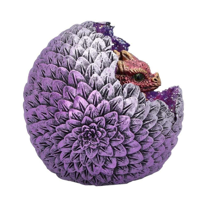 Nemesis Now Dragon Figurine Geode Home Red Glittering Hatchling and Egg Figurine U4999R0