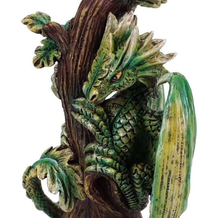 Nemesis Now Dragon Figurine Small Forest Dragon Figurine By Anne Stokes From The Age of Dragons Collection D4910R0