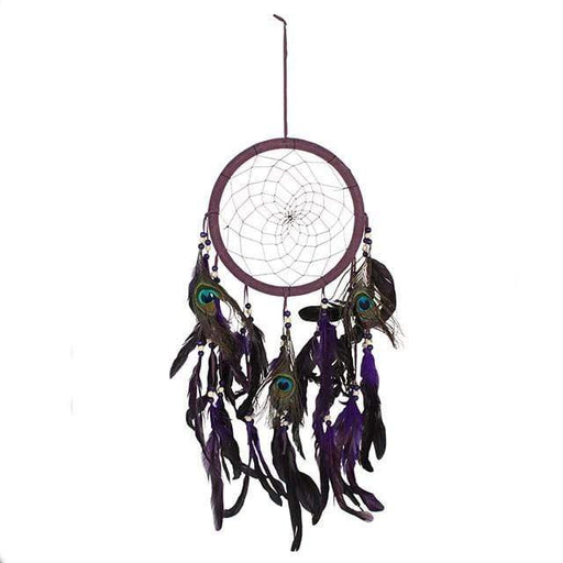 Nemesis Now Dreamcatcher Purple Peacock Feather Dreamcatcher OF_61626