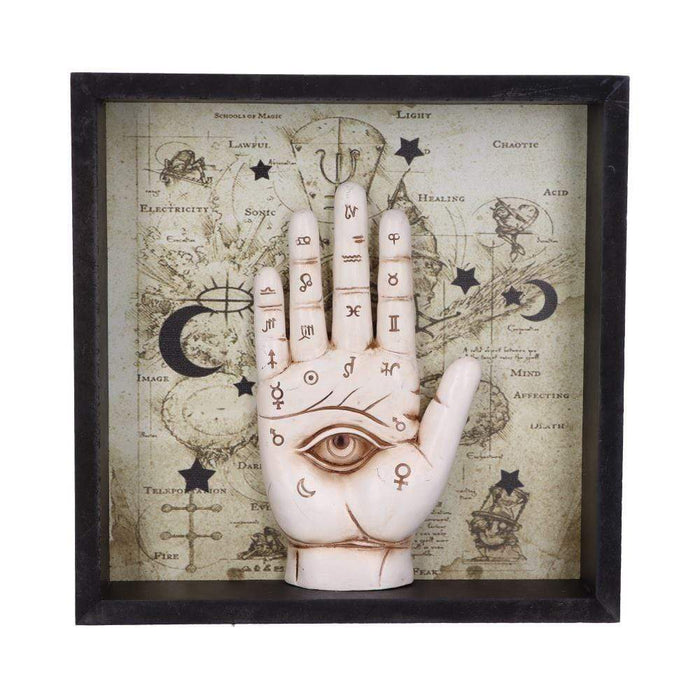 Nemesis Now Hanging Plaque Palmistry Companion Framed Chiromancy Wall Mounted Art U5464T1