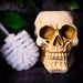 Nemesis Now Ornament Brush with Death Skull Toilet Brush Holder U4208M8