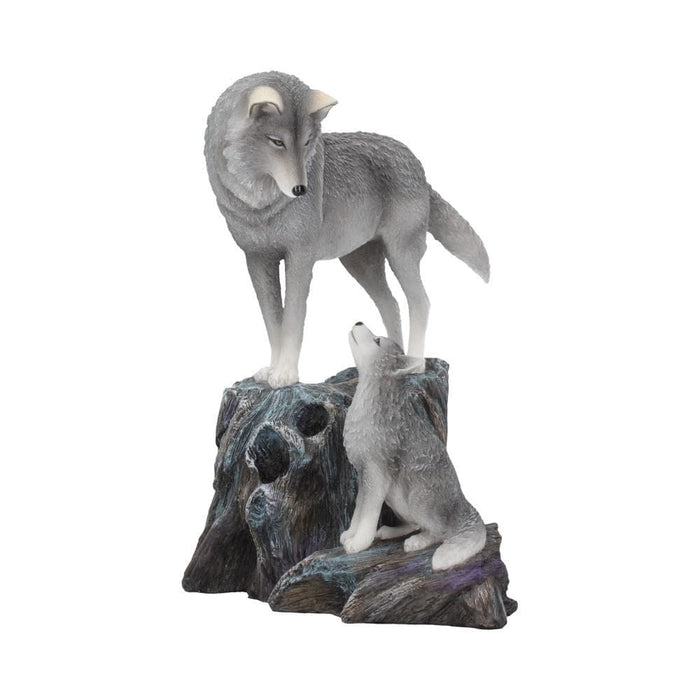 Nemesis Now Ornament Guidance Ornament Wolf and Pup Figurine by Lisa Parker B4334M8