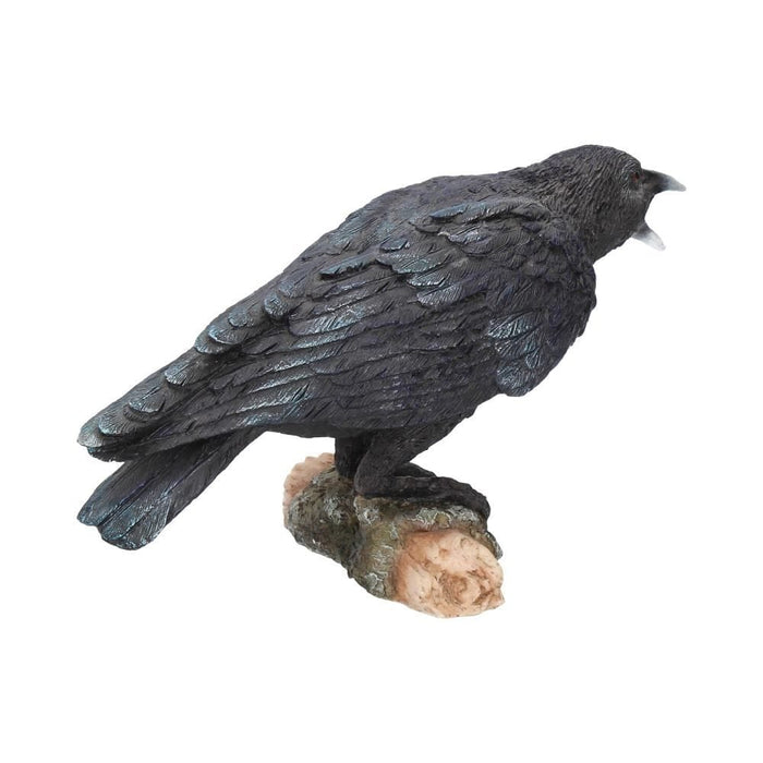 Nemesis Now Ornament Raven's Call Figurine Gothic Bird Ornament D1701E5