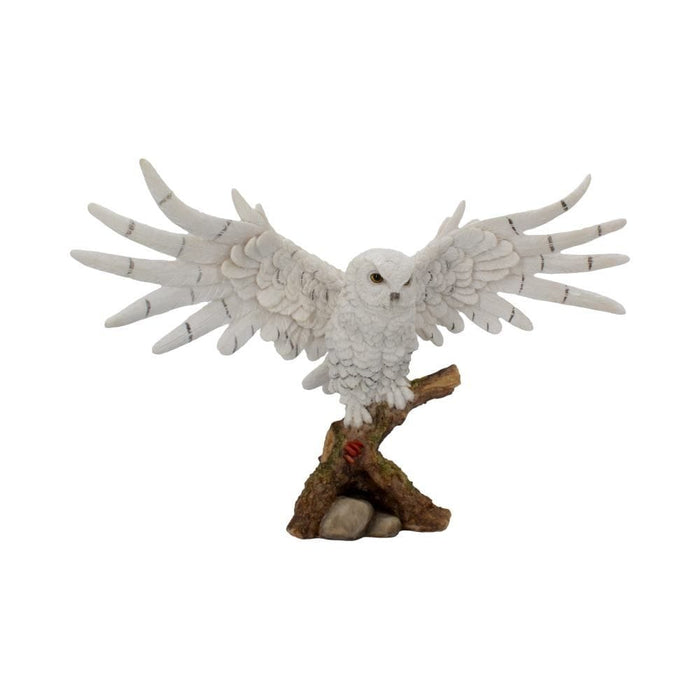 Nemesis Now Ornament Snowy Rest White Snowy Owl Figurine U4170M8