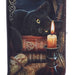 NEMESIS NOW Purse Witching Hour Embossed Purse By Lisa Parker B3939K8 P35