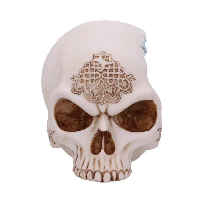 Nemesis Now Skull Ornament Celtic Cave Skull U5688U1