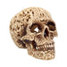 Nemesis Now Skull Ornament Celtic Decadence Ornate Skull U2465G6