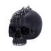Nemesis Now Skull Ornament Crystal Cave Small Dragon Hiding within a Crystal Skull U5078R0