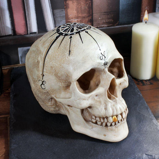 Nemesis Now Skull Ornament Dead Man's Map Figurine Compass Skull Ornament B4057K8