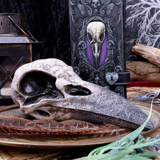 Nemesis Now Skull Ornament Edgar's Raven Skull Figurine Edgar Allen Poe Ornament B1986F6