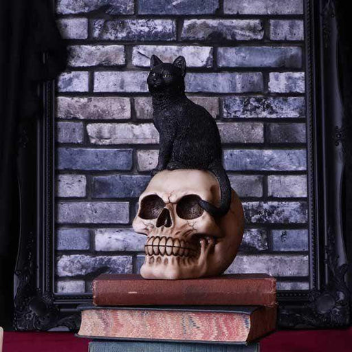 Nemesis Now Skull Ornament Familiar Fate Black Witches Cat and Skull Figurine U5453T1
