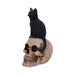 Nemesis Now Skull Ornament Familiar Fate Black Witches Cat and Skull Figurine U5453T1