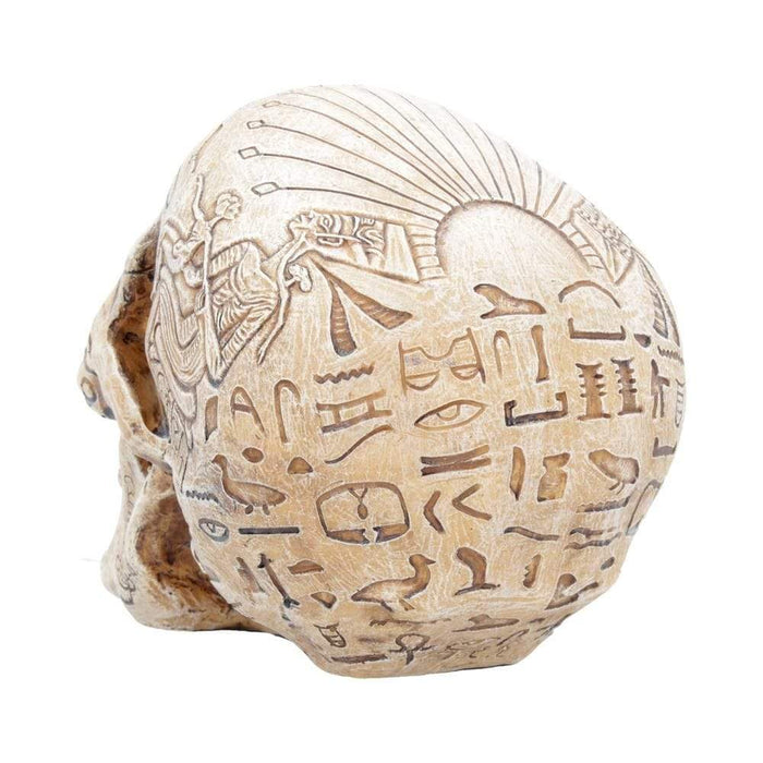 Nemesis Now Skull Ornament Hieroglyphic Skull Figurine Egyptain Hieroglyph Ornament D4227M8