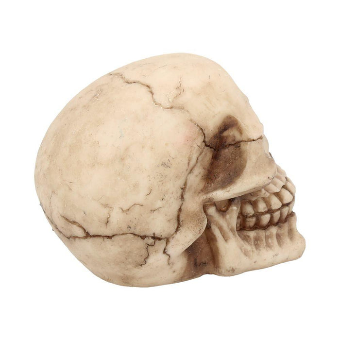 NEMESIS NOW Skull Ornament Joker Skull NEM3803