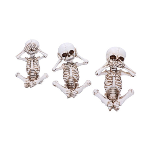 Nemesis Now Skull Ornament See No, Hear No, Speak No Evil Skellywag Skeleton Figurines D4928R0