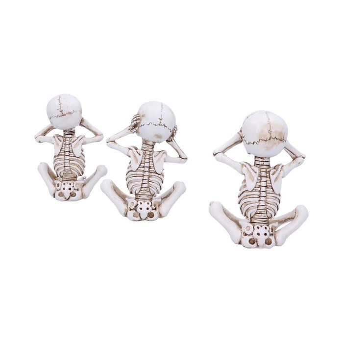 Nemesis Now Skull Ornament See No, Hear No, Speak No Evil Skellywag Skeleton Figurines D4928R0