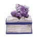 Nemesis Now Trinket Box Bedtime Stories Dragon Book Trinket Box U5022R0