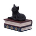 Nemesis Now Trinket Box Salems Spells Witches Familiar Black Cat and Spellbook Box U5456T1