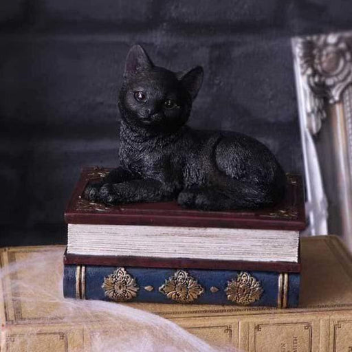 Nemesis Now Trinket Box Salems Spells Witches Familiar Black Cat and Spellbook Box U5456T1