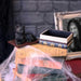 Nemesis Now Trinket Box Salems Spells Witches Familiar Black Cat and Spellbook Box U5456T1