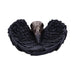 Nemesis Now Trinket Dish Edgar Allen Poe's Nevermore Raven Skull Trinket Holder Jewellery Dish D4917R0