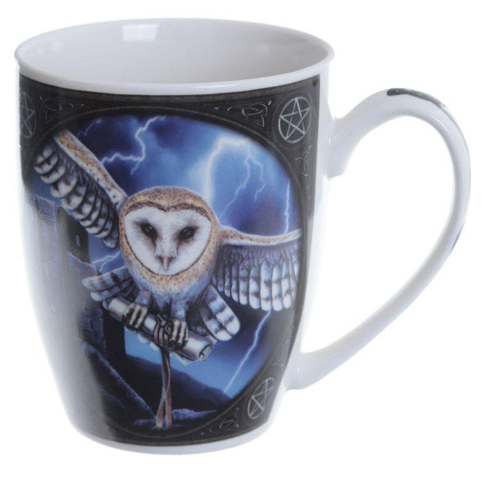 Puckator Mug Heart of the Storm Owl Porcelain Mug MULP38