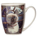 Puckator Mug Hocus Pocus Cat Porcelain Mug MULP49
