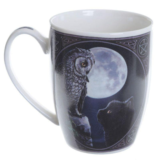 Puckator Mug Purrfect Wisdom Owl and Cat Porcelain Mug MULP40