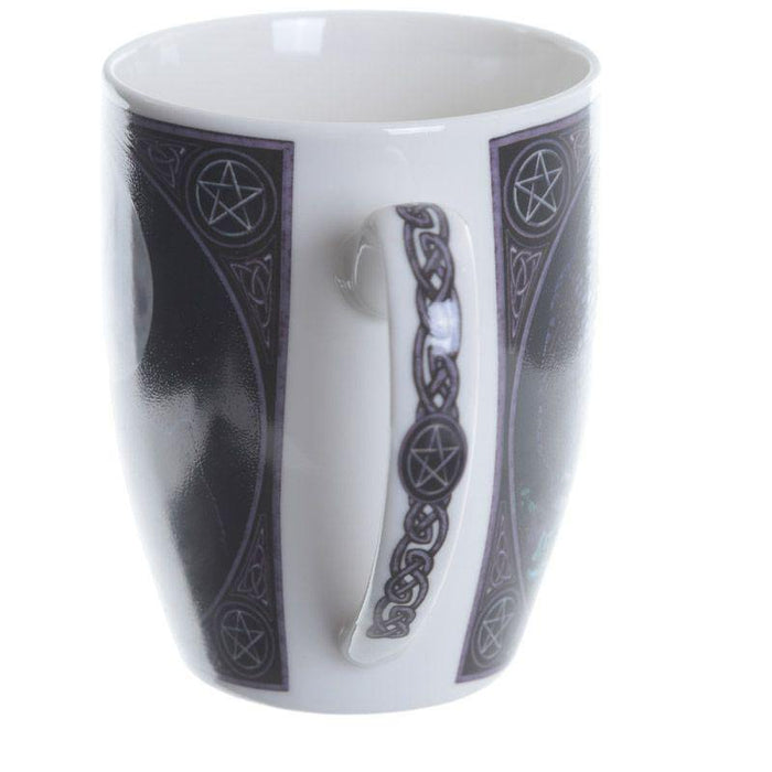 Puckator Mug Purrfect Wisdom Owl and Cat Porcelain Mug MULP40