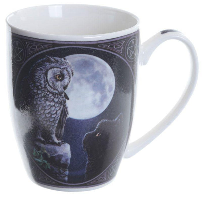 Puckator Mug Purrfect Wisdom Owl and Cat Porcelain Mug MULP40