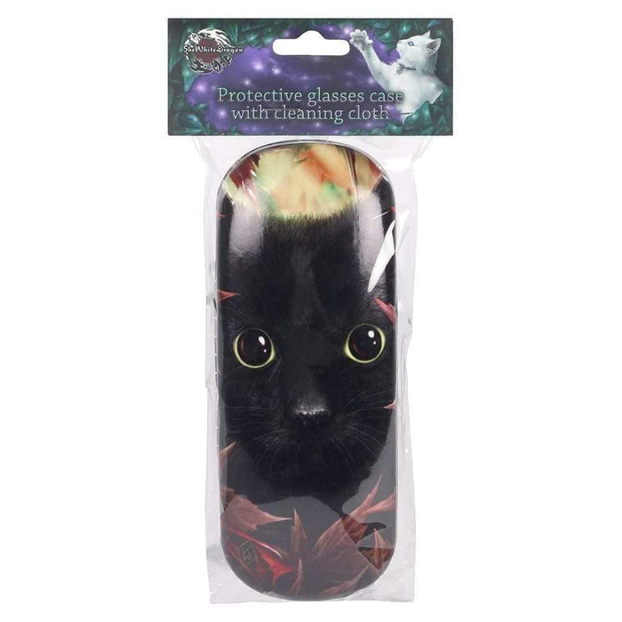 Something Different Wholesale Glasses Case Autumn Cat Glasses Case by Linda Jones LJ_04638