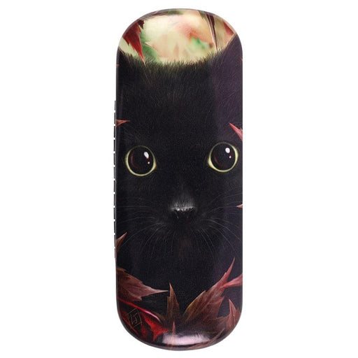 Something Different Wholesale Glasses Case Autumn Cat Glasses Case by Linda Jones LJ_04638