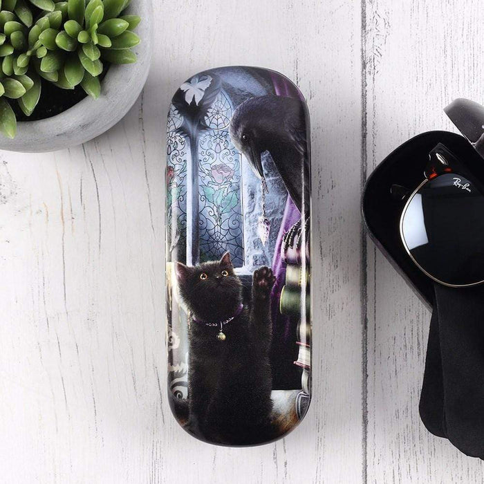 Something Different Wholesale Glasses Case Familiarity Glasses Case By Linda Jones LJ_04738