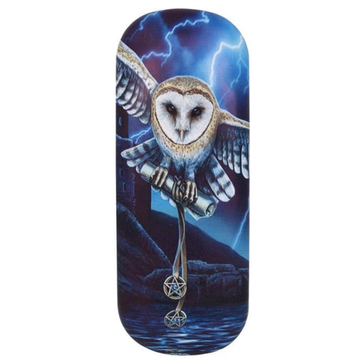 Something Different Wholesale Glasses Case Heart of the Storm Glasses Case by Lisa Parker LP_03817