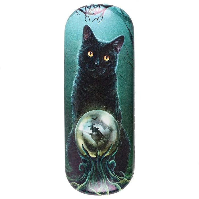Something Different Wholesale Glasses Case Rise of the Witches Glasses Case By Lisa Parker LP_31028