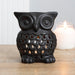 Something Different Wholesale Oil burner Owl Oil Burner OB_00523