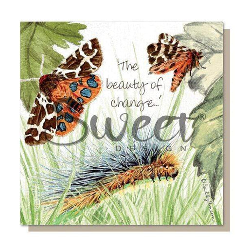 Sweet Design Greeting Card Tiger Moth Meadow Card SM006
